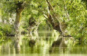 Marais Poitevin