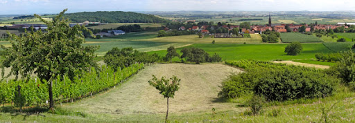 Alsace