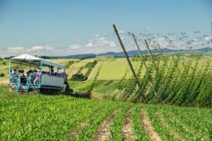 Kochersberg: hoppenland dat is verbeten op de ansichtkaarten te zetten