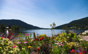 Lac de Gérardmer