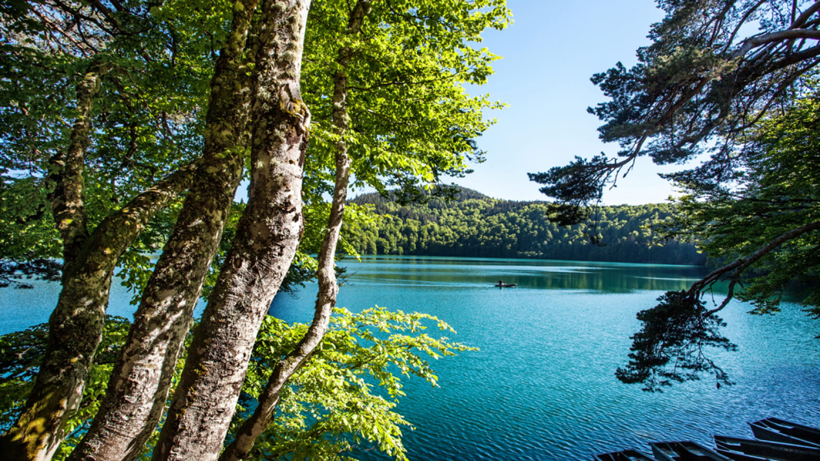 Auvergne