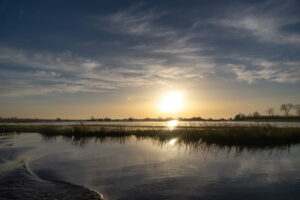 Marais du Cotentin